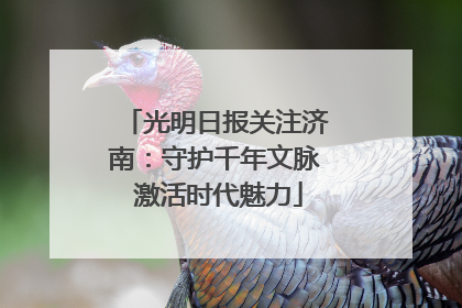 光明日报关注济南：守护千年文脉 激活时代魅力