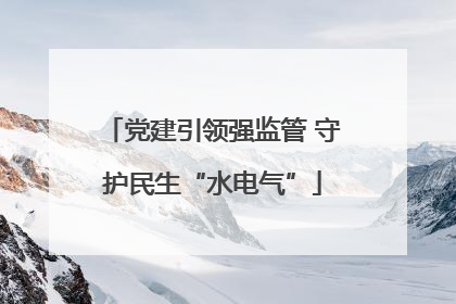 党建引领强监管 守护民生“水电气”