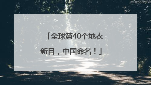全球第40个地衣新目，中国命名！