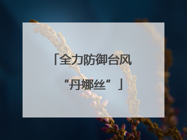 全力防御台风“丹娜丝”