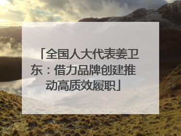 全国人大代表姜卫东：借力品牌创建推动高质效履职
