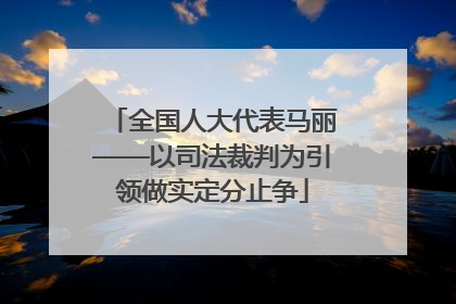 全国人大代表马丽——以司法裁判为引领做实定分止争
