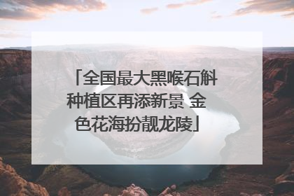 全国最大黑喉石斛种植区再添新景 金色花海扮靓龙陵