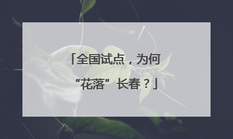 全国试点，为何“花落”长春？