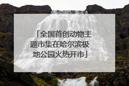 全国首创动物主题市集在哈尔滨极地公园火热开市