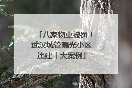 八家物业被罚！武汉城管曝光小区违建十大案例