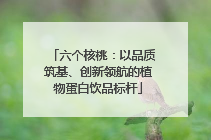 六个核桃：以品质筑基、创新领航的植物蛋白饮品标杆