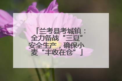 兰考县考城镇：全力备战“三夏”安全生产，确保小麦“丰收在仓”
