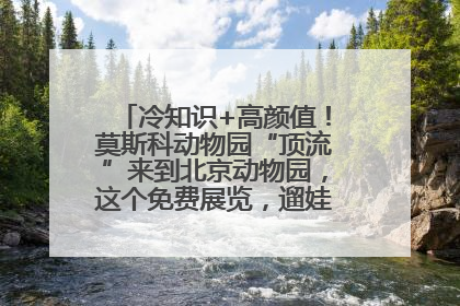 冷知识+高颜值！莫斯科动物园“顶流”来到北京动物园，这个免费展览，遛娃拍照两不误！