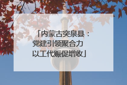 内蒙古突泉县：党建引领聚合力 以工代赈促增收