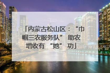 内蒙古松山区：“巾帼三农服务队” 助农增收有 “她” 功