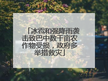 冰雹和强降雨袭击致巴中数千亩农作物受损，政府多举措救灾