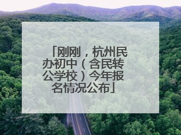 刚刚，杭州民办初中（含民转公学校）今年报名情况公布