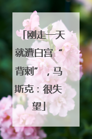 刚走一天就遭白宫“背刺”，马斯克：很失望