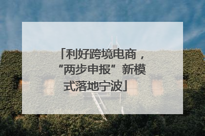 利好跨境电商，“两步申报”新模式落地宁波