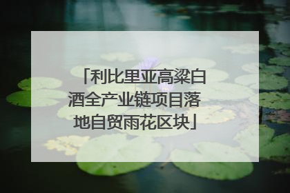 利比里亚高粱白酒全产业链项目落地自贸雨花区块