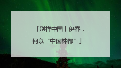 别样中国丨伊春，何以“中国林都”