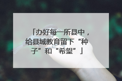 办好每一所县中，给县域教育留下“种子”和“希望”