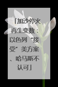 加沙停火再生变数：以色列“接受”美方案、哈马斯不认可