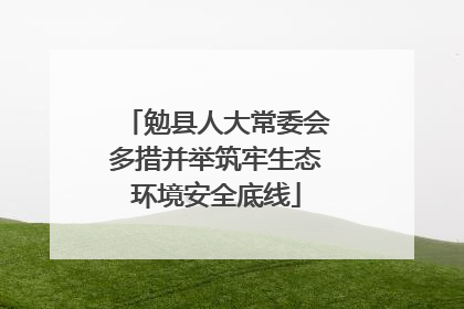勉县人大常委会多措并举筑牢生态环境安全底线