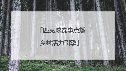 匹克球赛事点燃乡村活力引擎