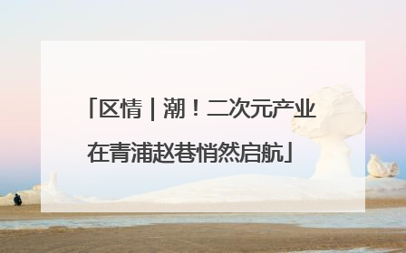 区情｜潮！二次元产业在青浦赵巷悄然启航