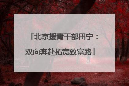 北京援青干部田宁：双向奔赴拓宽致富路