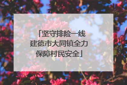 坚守排险一线 建德市大同镇全力保障村民安全