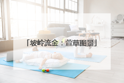 坡岭流金：萱草图景