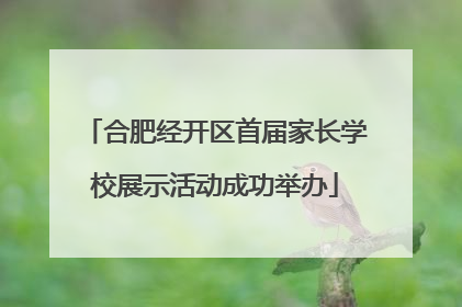 合肥经开区首届家长学校展示活动成功举办