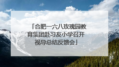 合肥一六八玫瑰园教育集团赴习友小学召开视导总结反馈会