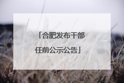 合肥发布干部任前公示公告