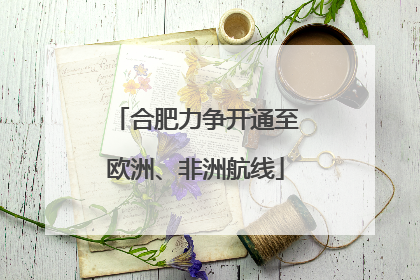 合肥力争开通至欧洲、非洲航线