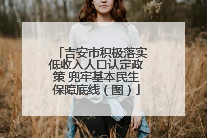 吉安市积极落实低收入人口认定政策 兜牢基本民生保障底线（图）