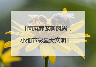 同筑养宠新风尚，小细节彰显大文明