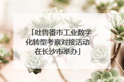 吐鲁番市工业数字化转型考察对接活动在长沙市举办