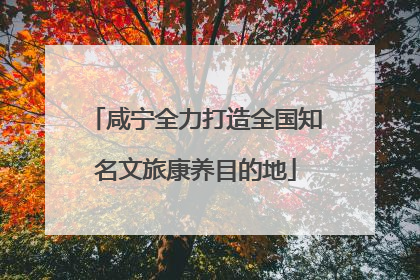 咸宁全力打造全国知名文旅康养目的地