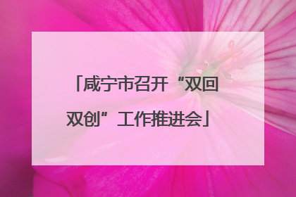咸宁市召开“双回双创”工作推进会