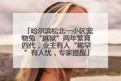 哈尔滨松北一小区宠物兔“越狱”两年繁育四代，业主有人“稀罕”有人忧，专家提醒