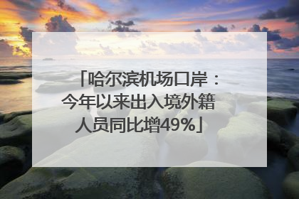 哈尔滨机场口岸：今年以来出入境外籍人员同比增49%