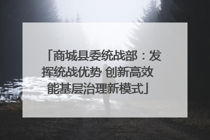 商城县委统战部：发挥统战优势 创新高效能基层治理新模式