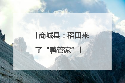 商城县：稻田来了“鸭管家”