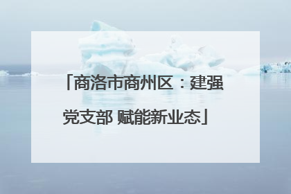 商洛市商州区：建强党支部 赋能新业态