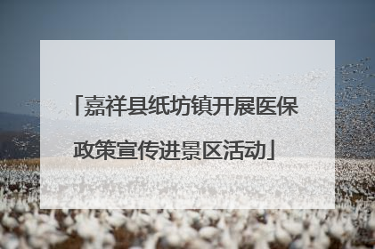 嘉祥县纸坊镇开展医保政策宣传进景区活动