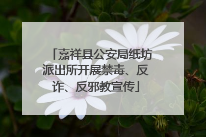 嘉祥县公安局纸坊派出所开展禁毒、反诈、反邪教宣传