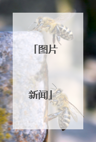 图片新闻