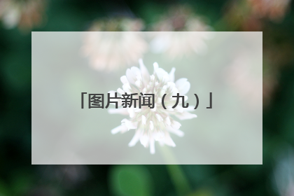 图片新闻（九）