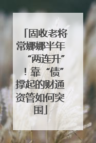 固收老将常娜娜半年“两连升”！靠“债”撑起的财通资管如何突围
