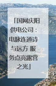 国网庆阳供电公司：电脉连通诗与远方 服务点亮露营之光