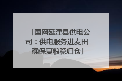 国网延津县供电公司：供电服务进麦田 确保夏粮稳归仓